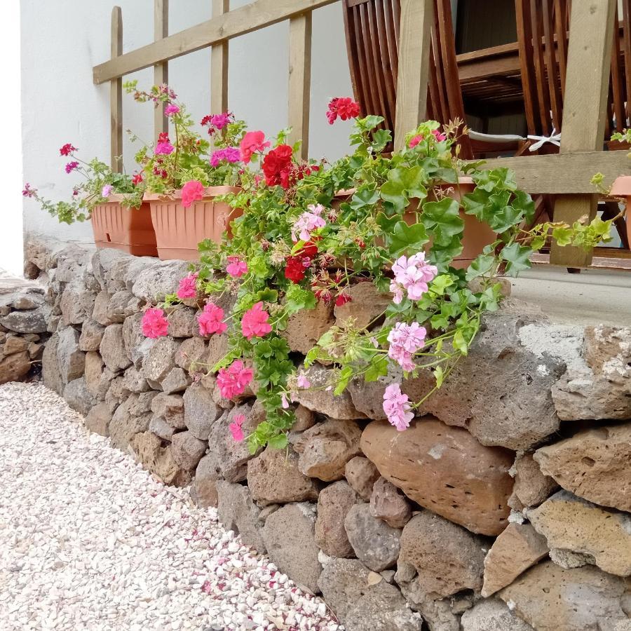 Casa Di Campagna Galtellì Eksteriør billede